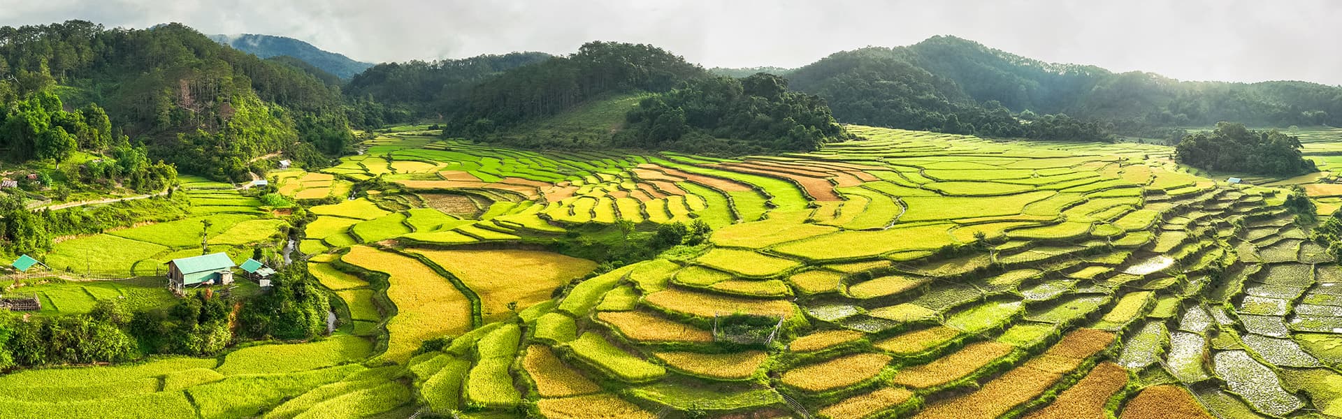 Du lịch Măng Đen trở thành điểm đến chữa lành 2026 2 Du lịch Măng Đen KonTum