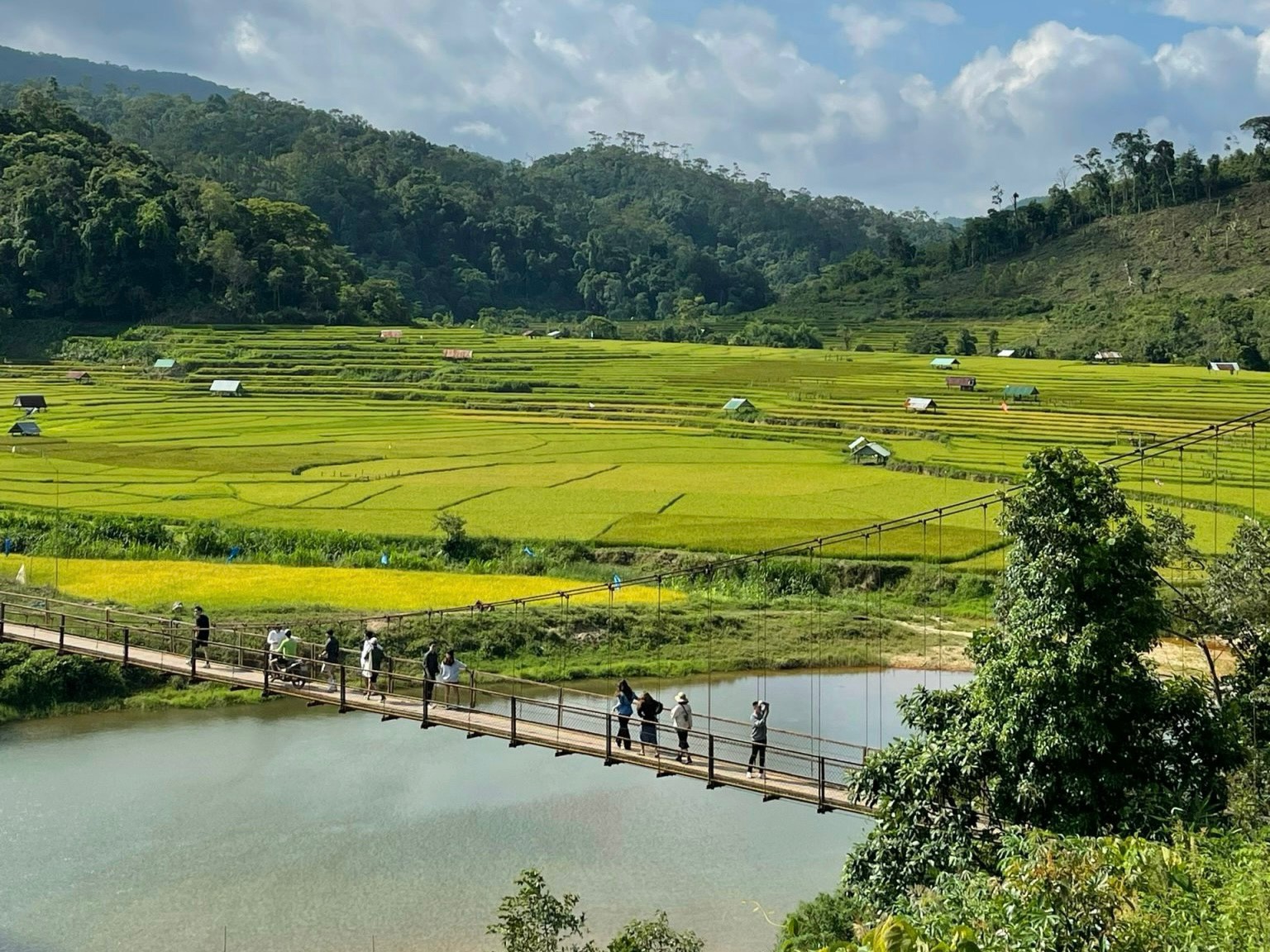Du lịch Măng Đen trở thành điểm đến chữa lành 2026 4 Tour Măng Đen KonTum